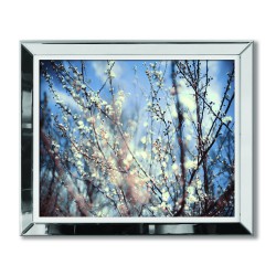  Obraz w lustrzanej ramie kwitnący krzew 51x61cm