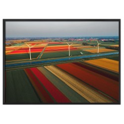  Obraz z kwiatami 53x73cm Wiosenny bukiet