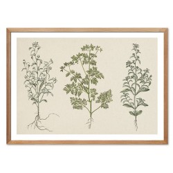  Obraz z roślinami 53x73cm