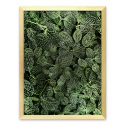  Obraz z roślinami 33x43cm