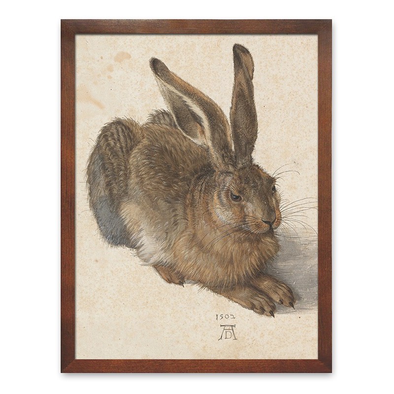  Obraz z królikiem płótno 33x43cm