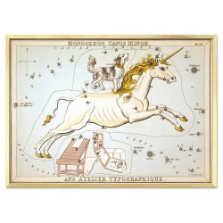  Obraz z Koziorożcem znak zodiaku płótno w ramie 64x84cm