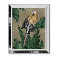  Obraz w lustrzanej ramie złota papuga 51x61cm