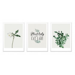 Obrazy plakaty na płótnie zestaw obrazów 3 szt. rośliny