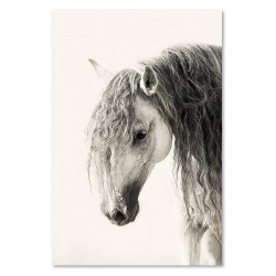  Obraz na płótnie 60x90cm czarno biały koń
