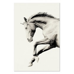  Obraz na płótnie 60x90cm czarno biały koń w galopie