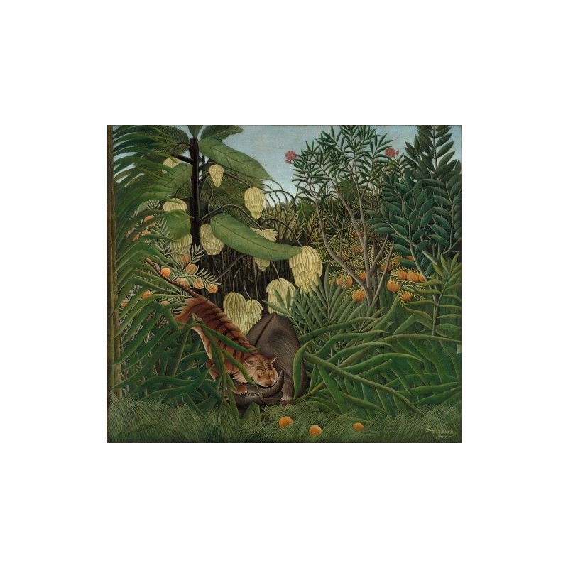  Obraz na płótnie 50x45cm Henri Rousseau Walka tygrysa z bawołem