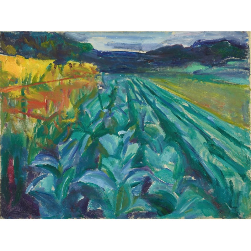  Obraz na płótnie 50x80cm Edvard Munch Pole kapusty