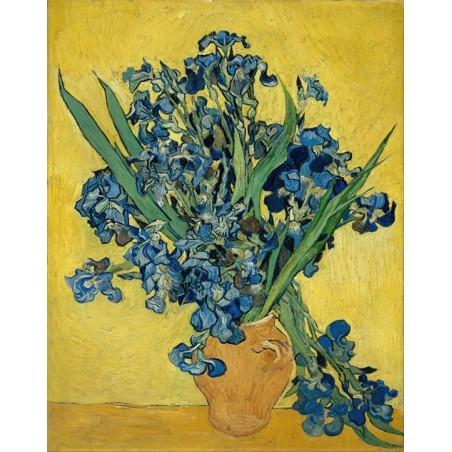  Obraz na płótnie 50x60cm Vincent van Gogh Irysy