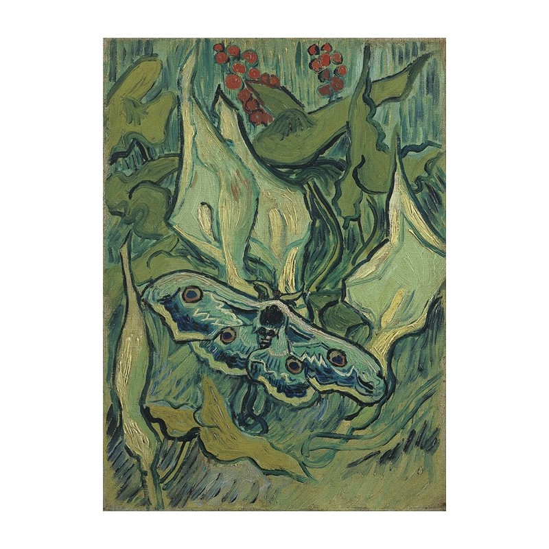  Obraz na płótnie 50x70cm Vincent van Gogh Motyl cesarski