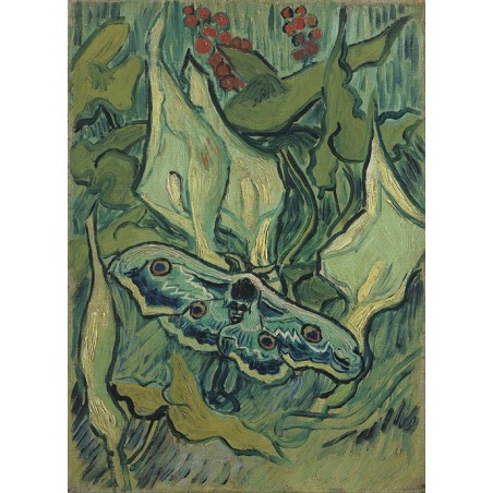  Obraz na płótnie 50x70cm Vincent van Gogh Motyl cesarski