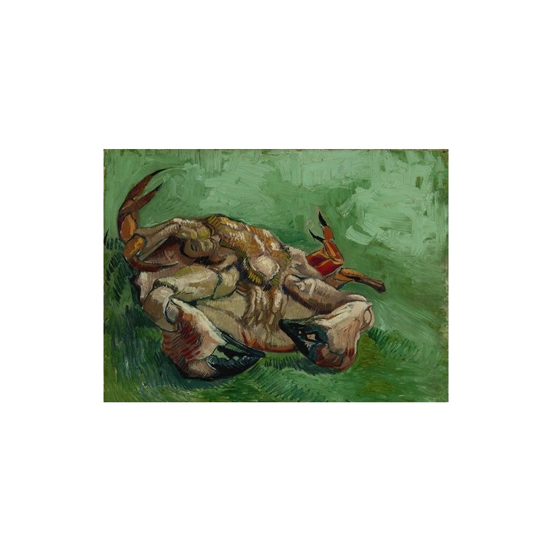  Obraz na płótnie 50x35cm Vincent van Gogh Krab na plecach