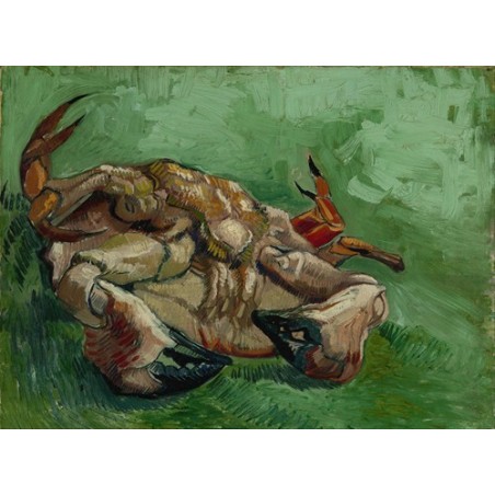  Obraz na płótnie 50x35cm Vincent van Gogh Krab na plecach