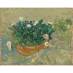  Obraz na płótnie 50x40cm Vincent van Gogh Stokrotki