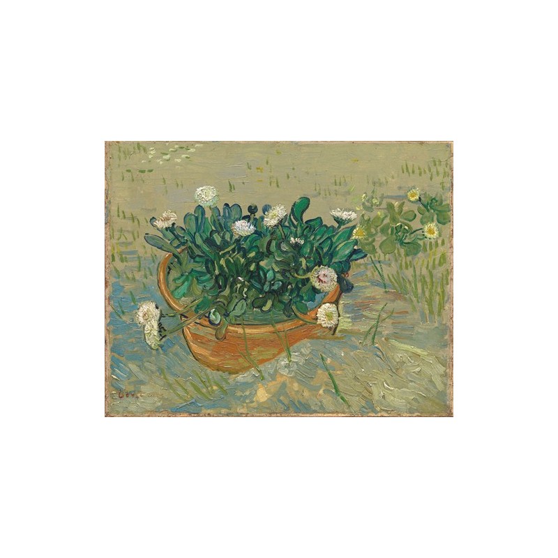 Obraz na płótnie 50x40cm Vincent van Gogh Stokrotki