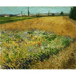  Obraz na płótnie 50x40cm Vincent van Gogh Pole pszenicy
