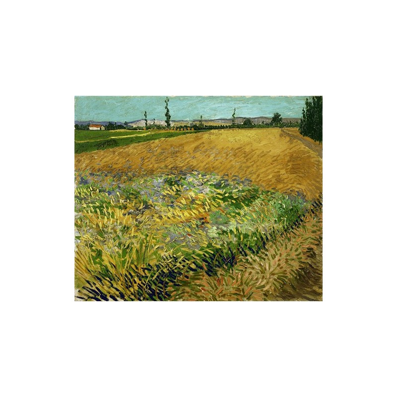  Obraz na płótnie 50x40cm Vincent van Gogh Pole pszenicy