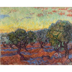  Obraz na płótnie 50x40cm Vincent van Gogh Gaj oliwny Saint-Rémy