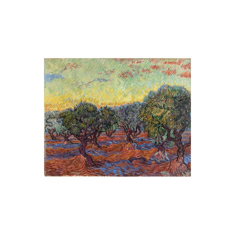  Obraz na płótnie 50x40cm Vincent van Gogh Gaj oliwny Saint-Rémy