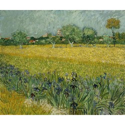  Obraz na płótnie 50x40cm Vincent van Gogh Pole z kwiatami w pobliżu Arles