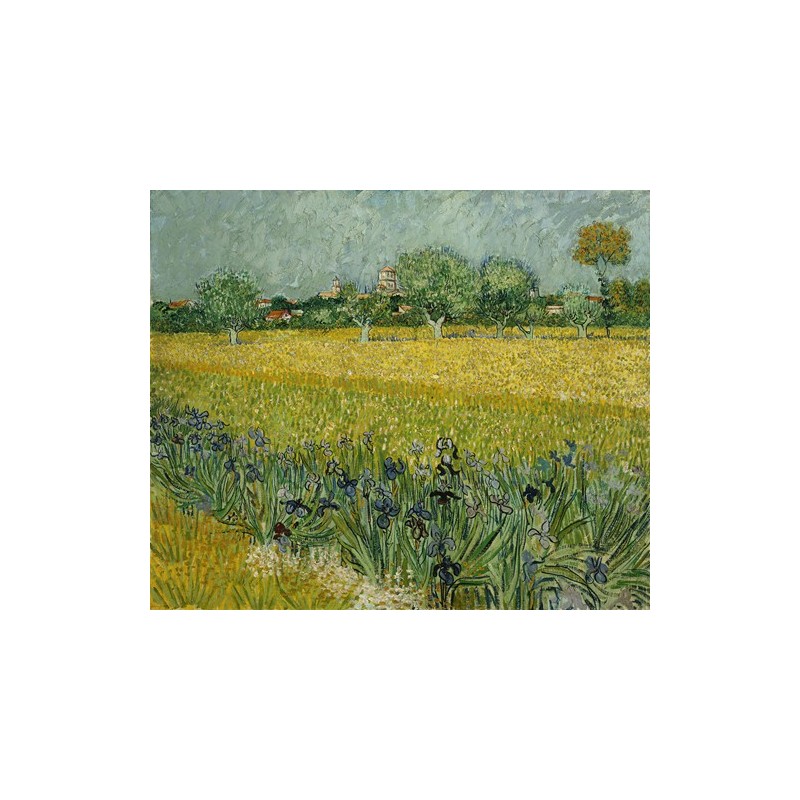  Obraz na płótnie 50x40cm Vincent van Gogh Pole z kwiatami w pobliżu Arles