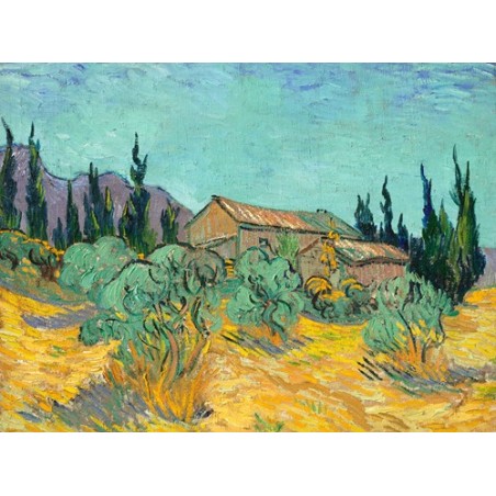  Obraz na płótnie 50x35cm Vincent van Gogh Chata drewniana wśród oliwek i cyprysów