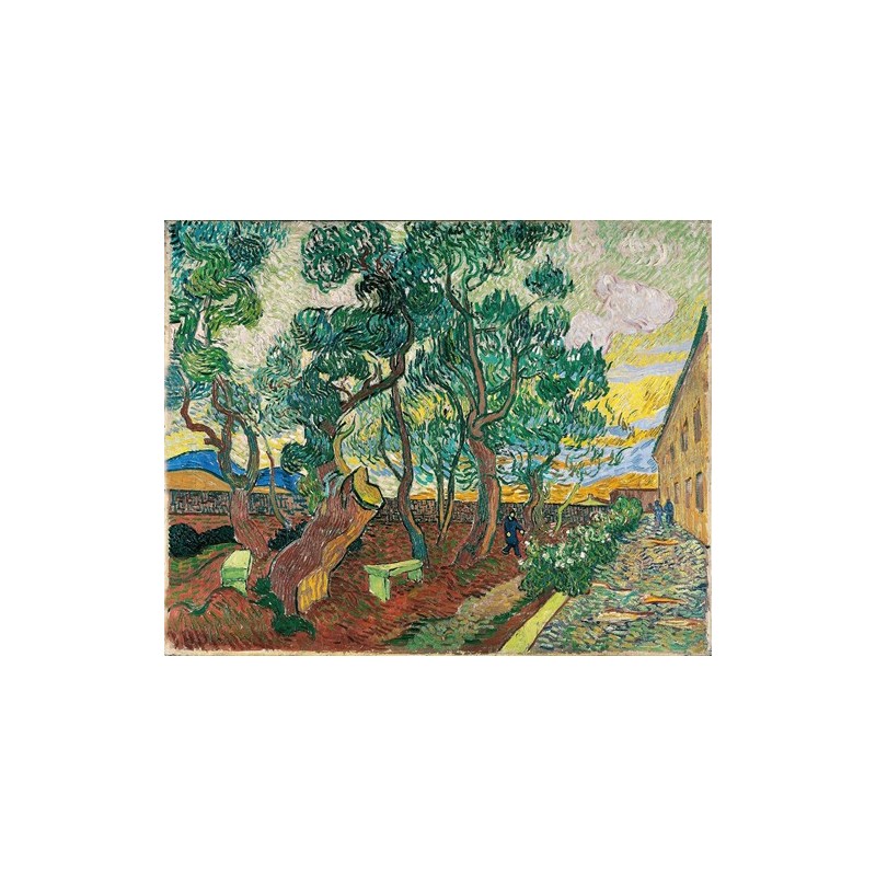  Obraz na płótnie 50x40cm Vincent van Gogh Ogród szpitala w Saint Paul