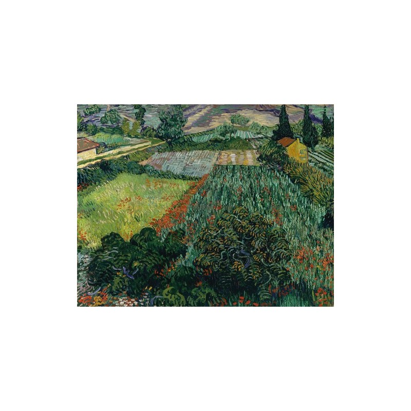  Obraz na płótnie 50x40cm Vincent van Gogh Pole z makami