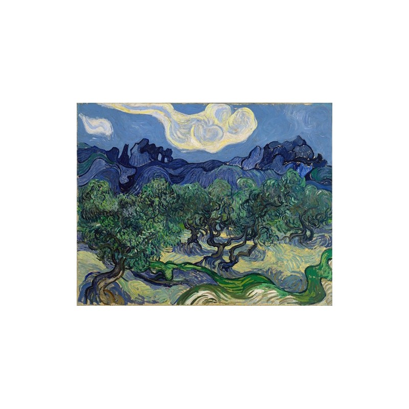  Obraz na płótnie 50x40cm Vincent van Gogh Drzewa oliwne