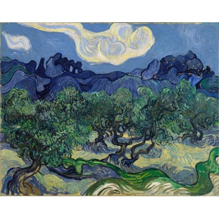 Obraz na płótnie 50x40cm Vincent van Gogh Drzewa oliwne