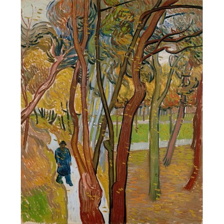  Obraz na płótnie 50x60cm Vincent van Gogh Ogród szpitala św. Pawła