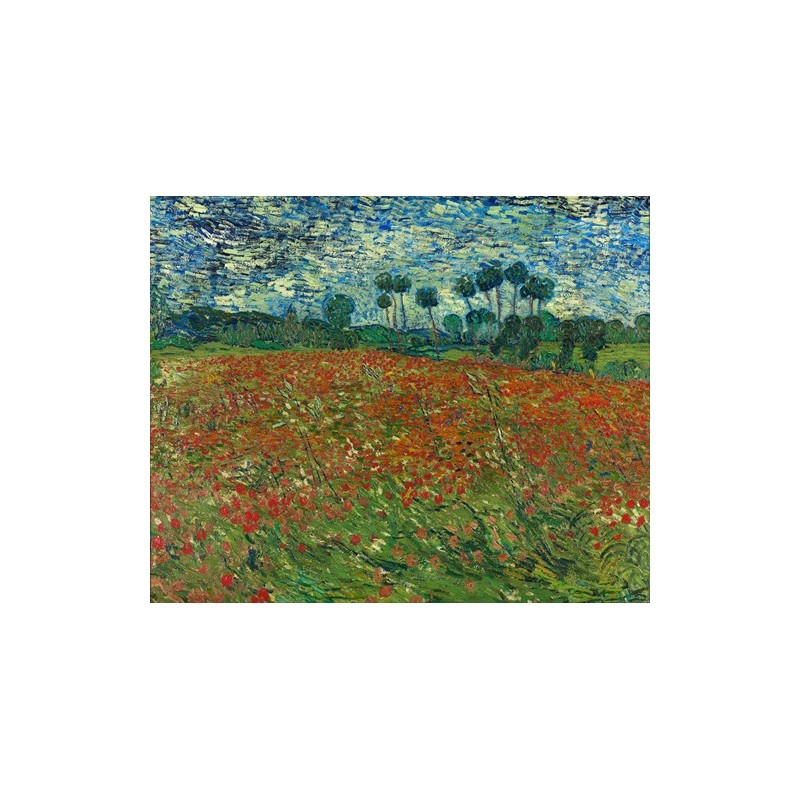  Obraz na płótnie 50x40cm Vincent van Gogh Pole maków