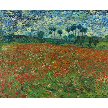  Obraz na płótnie 50x40cm Vincent van Gogh Pole maków