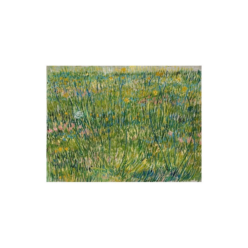  Obraz na płótnie 50x35cm Vincent van Gogh Kępka trawy