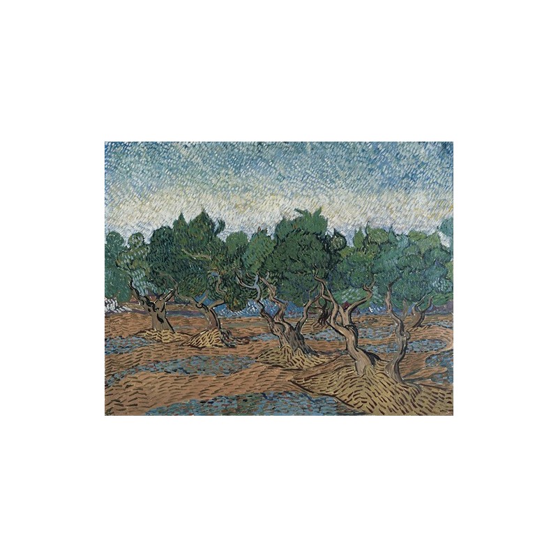  Obraz na płótnie 50x40cm Vincent van Gogh
