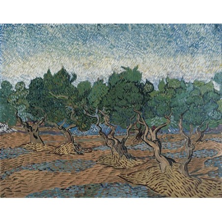  Obraz na płótnie 50x40cm Vincent van Gogh
