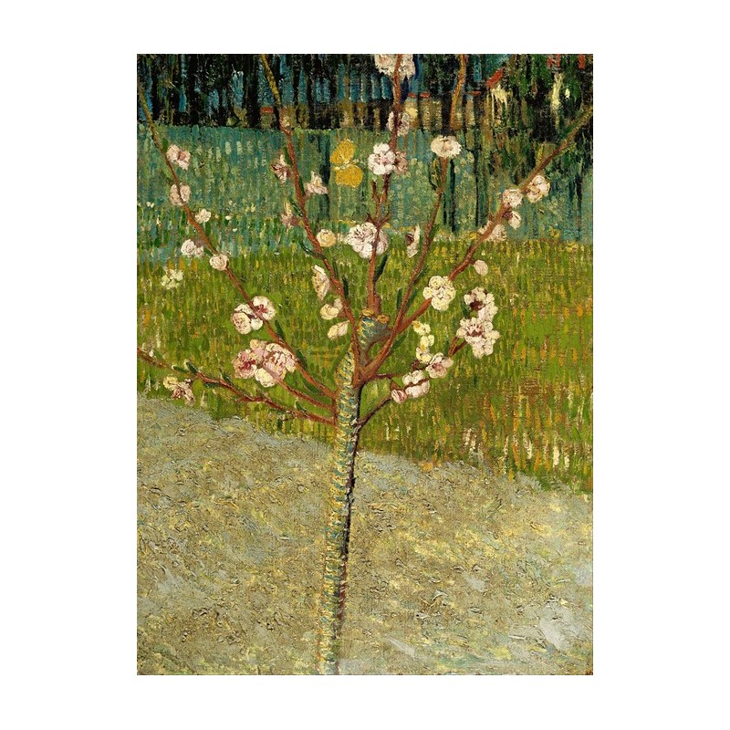 Obraz na płótnie 50x60cm Vincent van Gogh Drzewo migdałowe