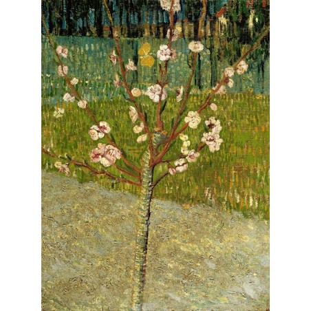 Obraz na płótnie 50x60cm Vincent van Gogh Drzewo migdałowe