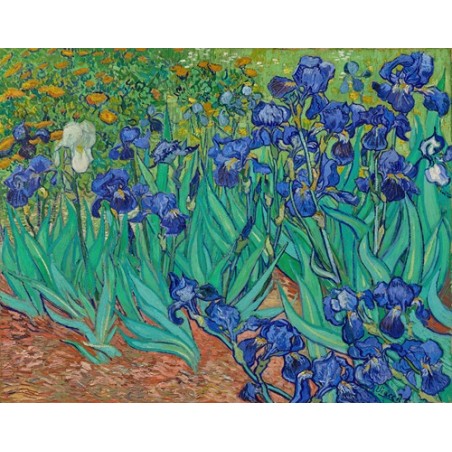  Obraz na płótnie 50x40cm Vincent van Gogh Irysy