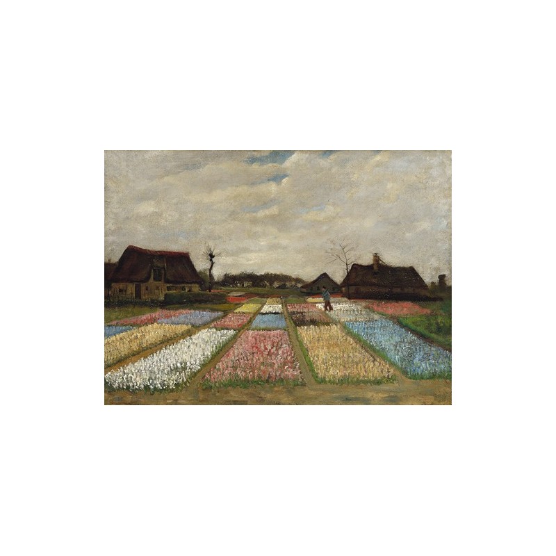  Obraz na płótnie 50x35cm Vincent van Gogh Pola kwiatów w Holandii
