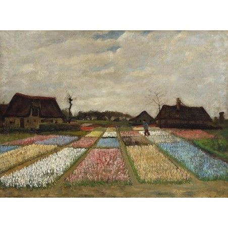  Obraz na płótnie 50x35cm Vincent van Gogh Pola kwiatów w Holandii