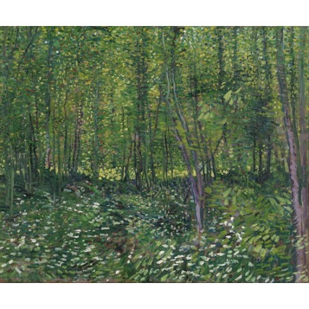  Obraz na płótnie 50x40cm Vincent van Gogh Las