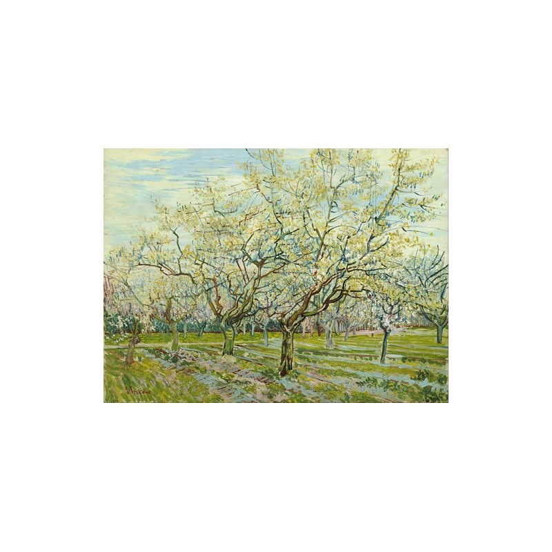  Obraz na płótnie 50x35cm Vincent van Gogh Biały sad