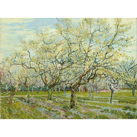  Obraz na płótnie 50x35cm Vincent van Gogh Biały sad