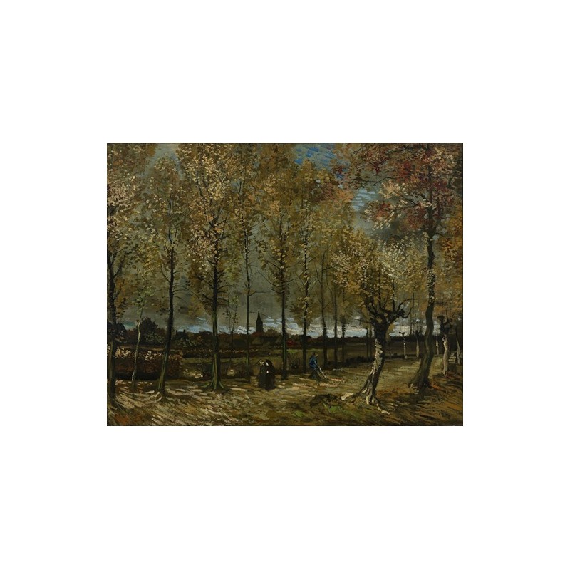 Obraz na płótnie 50x40cm Vincent van Gogh Topole w pobliżu Nuenen