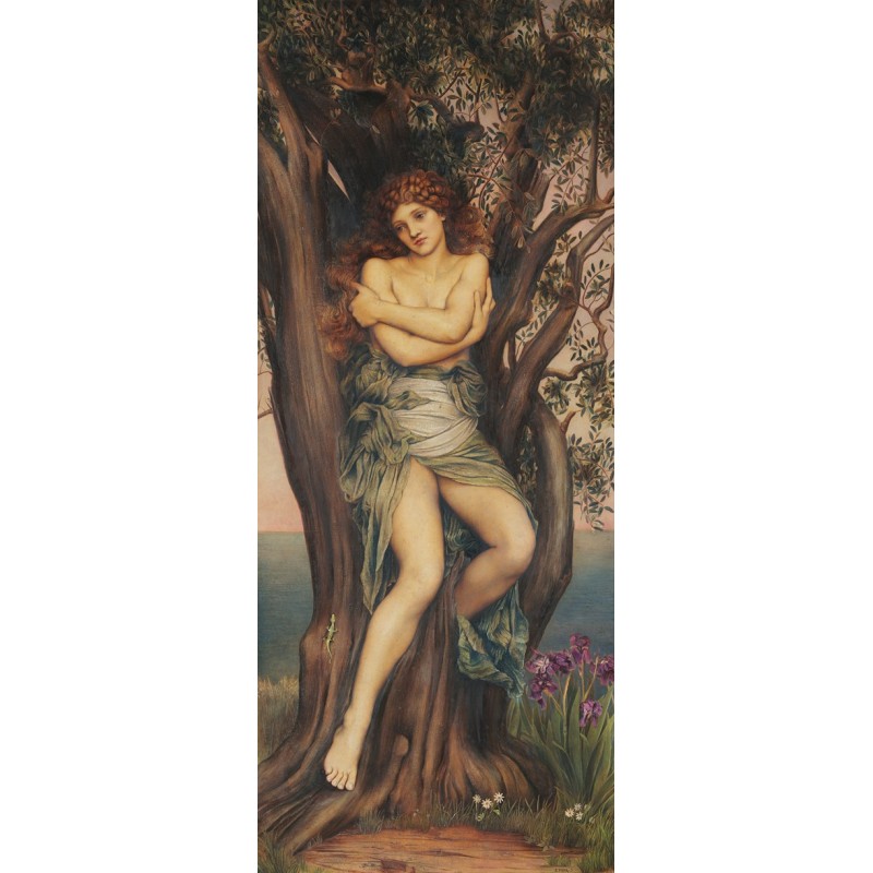  Obraz na płótnie 50x120cm Evelyn De Morgan Driada