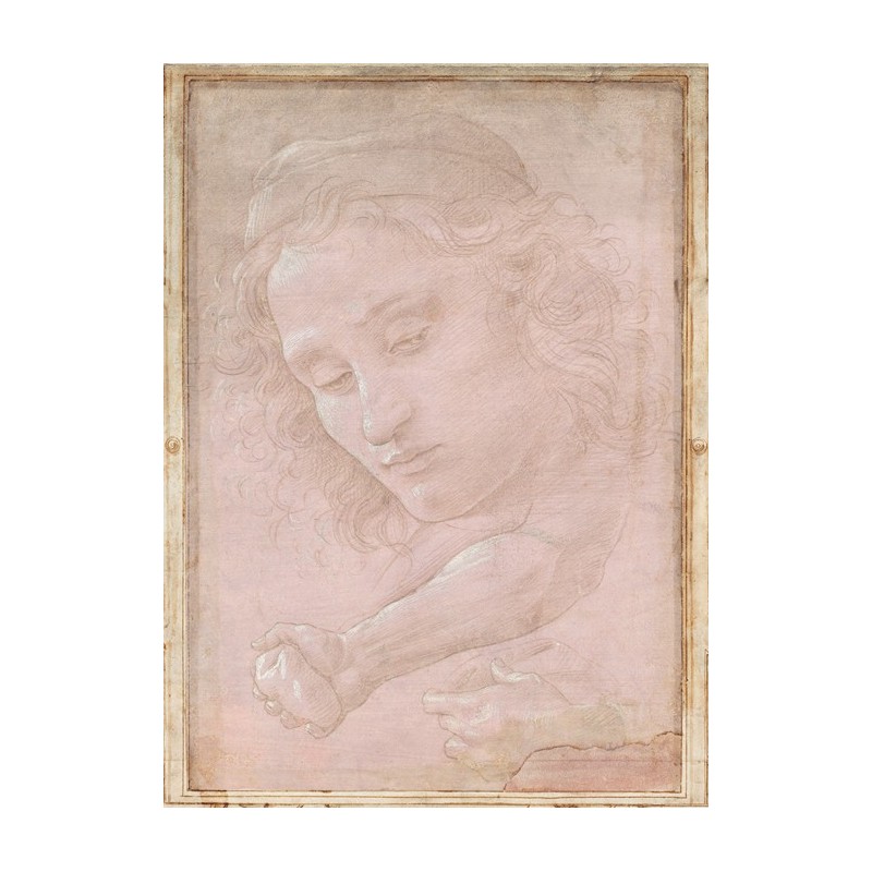  Obraz na płótnie 50x70cm Sandro Botticelli Głowa młodzieńca w czapce