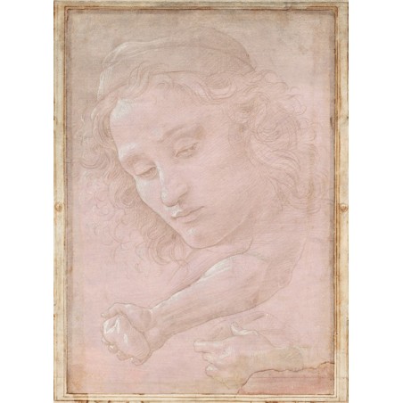  Obraz na płótnie 50x70cm Sandro Botticelli Głowa młodzieńca w czapce