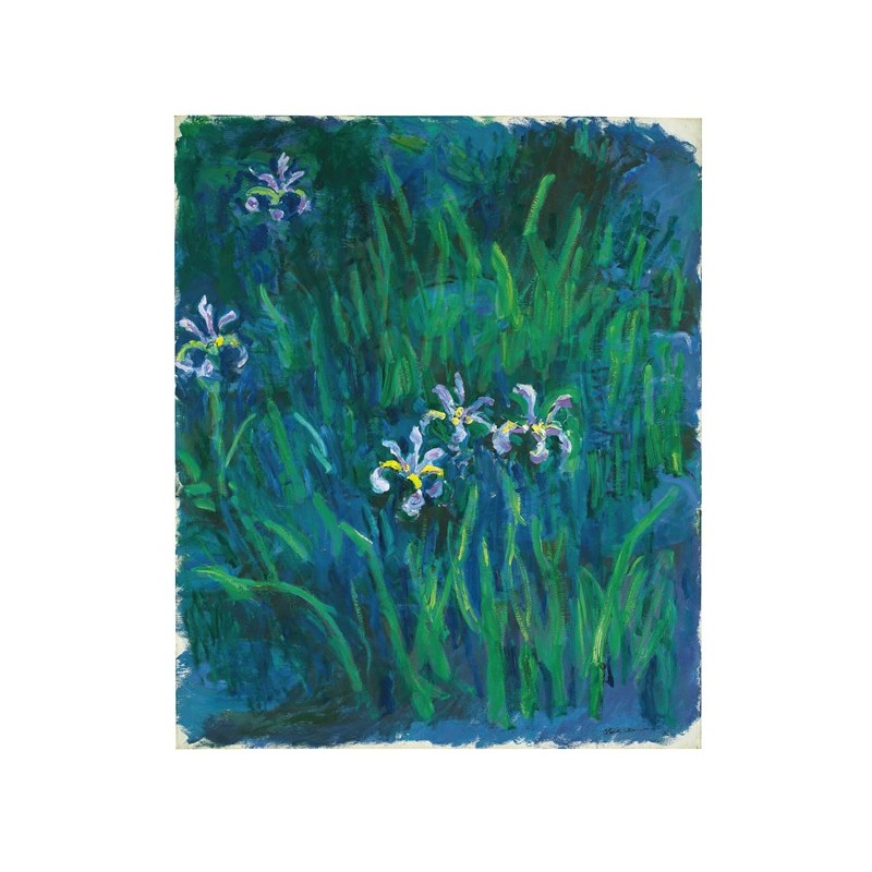  Obraz na płótnie 50x60cm Claude Monet Irysy