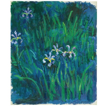  Obraz na płótnie 50x60cm Claude Monet Irysy